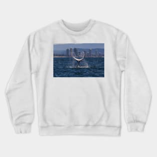 Humpback Whale Tail Slapping off Surfers Paradise Crewneck Sweatshirt